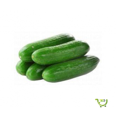 Cucumbers UAE 500g - Approx 9...