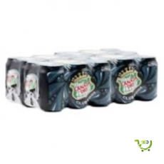 Canada Dry Club Soda 300ml Can x...